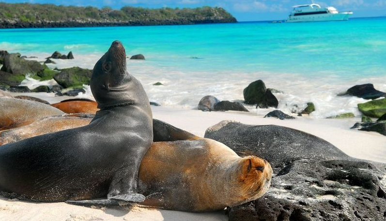 Razonamientos para guías Especializados de Galápagos