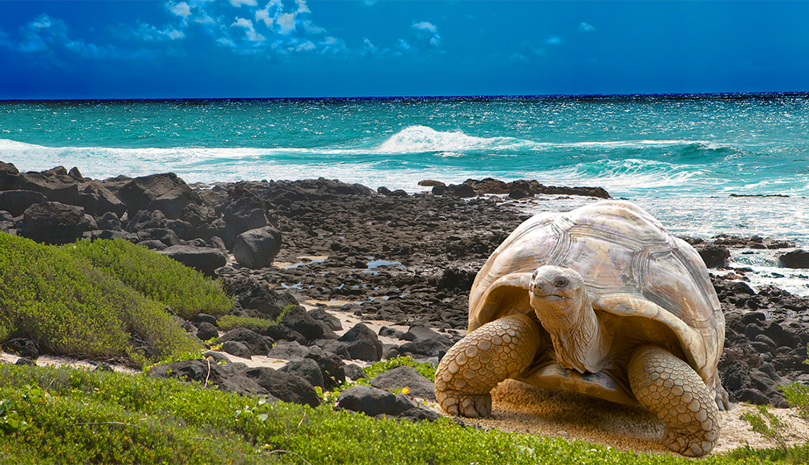 Español para guías Especializados de Galápagos