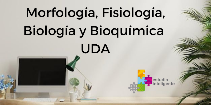 Morfología, Fisiología, Biología y Bioquímica UDA